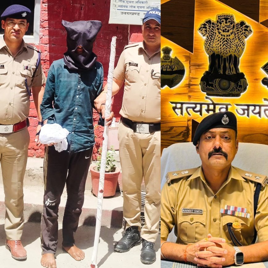 हरिद्वार: रोडीबेलवाला क्षेत्र में बाबा की बेरहमी से हत्या का मामला महज 12 घंटे में खुल गया। डंडे और पत्थर से किए गए इस खौफनाक हत्याकांड में पुलिस ने नेपाली मूल के आरोपी को धर दबोचा।