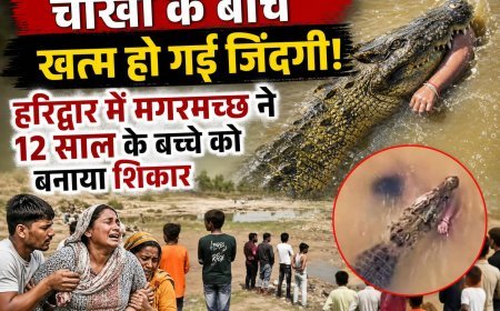 हरिद्वार: बुग्गावाला थाना क्षेत्र से रोंगटे खड़े कर देने वाली घटना सामने आई है। टापू के पास खेल रहे 12 वर्षीयबच्चे को मगरमच्छ ने देखते ही देखते अपना शिकार बना लिया