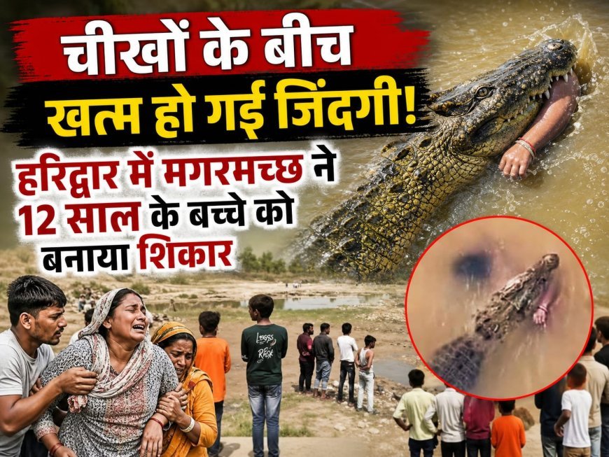 हरिद्वार: बुग्गावाला थाना क्षेत्र से रोंगटे खड़े कर देने वाली घटना सामने आई है। टापू के पास खेल रहे 12 वर्षीयबच्चे को मगरमच्छ ने देखते ही देखते अपना शिकार बना लिया