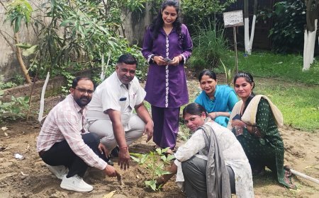 एक पौधा, सुरक्षित भविष्य का संकल्प; आईपीएस कॉलेज में छात्रों ने दिखाई पर्यावरण के प्रति जिम्मेदारी..