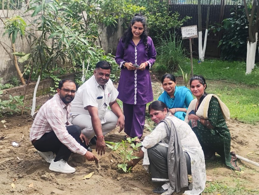 एक पौधा, सुरक्षित भविष्य का संकल्प; आईपीएस कॉलेज में छात्रों ने दिखाई पर्यावरण के प्रति जिम्मेदारी..
