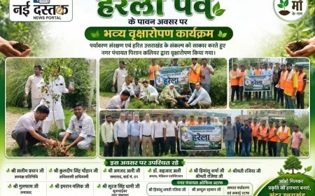 ​हरेला पर्व पर नगर पंचायत पिरान कलियर ने लिया हरित उत्तराखंड का संकल्प, किया भव्य वृक्षारोपण।